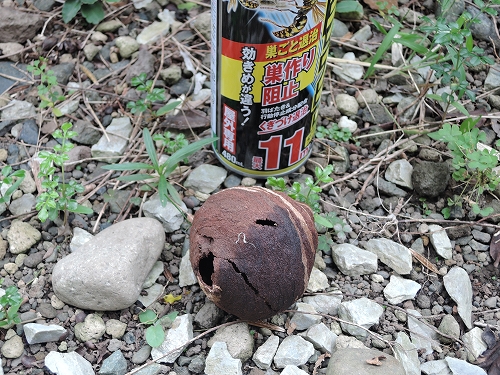 DSCN3097