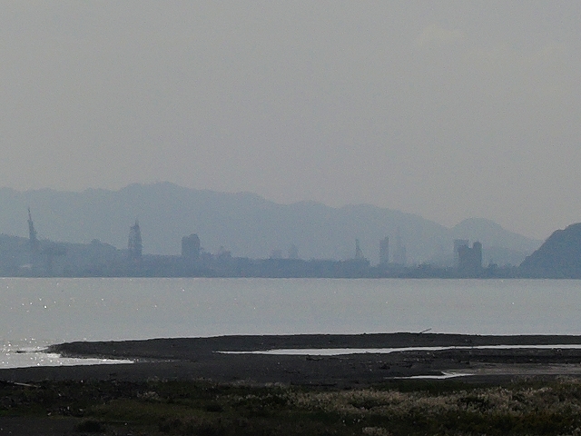 DSCN1946