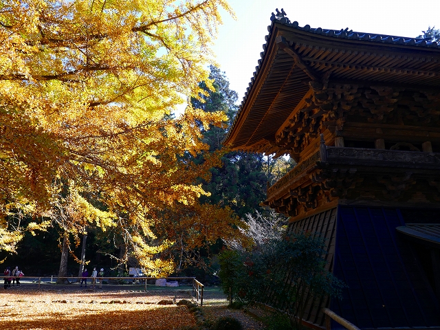 P1000266