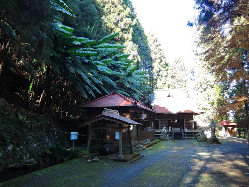 DSCN6042