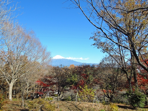 DSCN5698