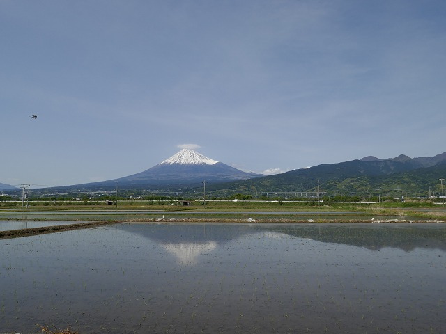 P1000617