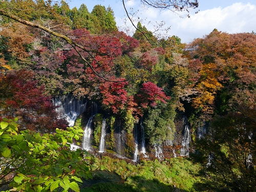 P1010356
