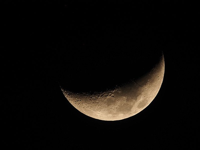 260124P1240011