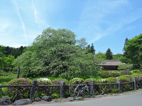 DSCN1543