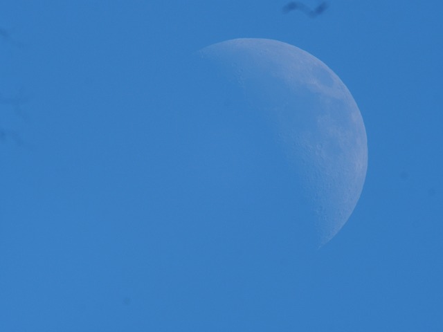 230823m7