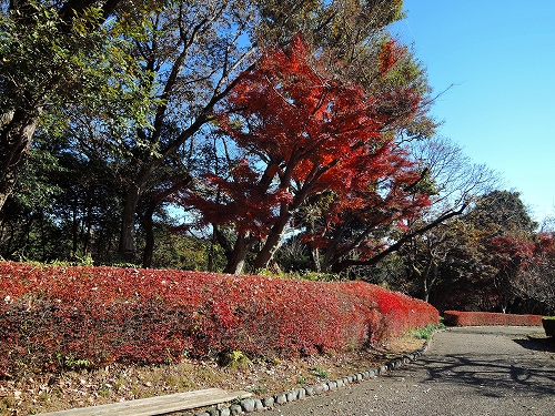 DSCN5691