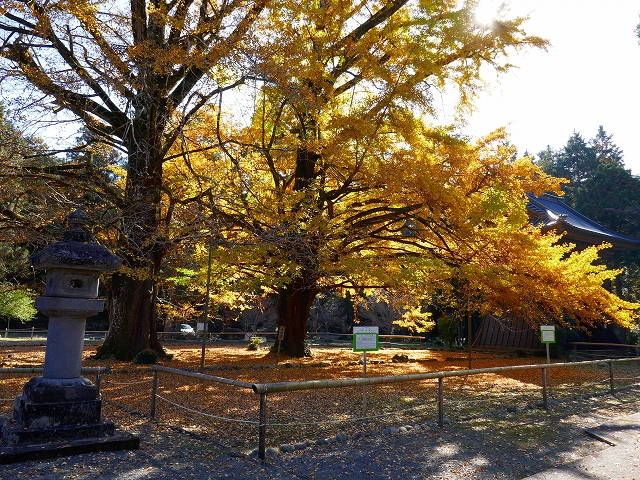 P1000254