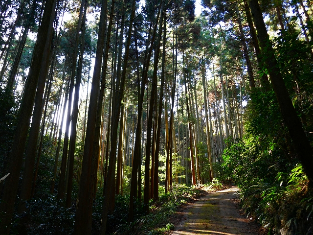 P1000907