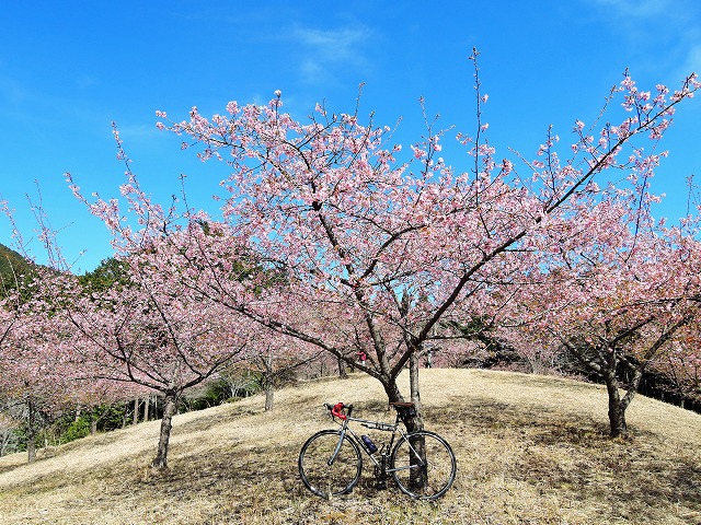 DSCN0602