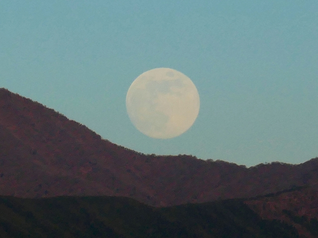 231226P1000102n