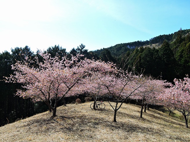 DSCN0609