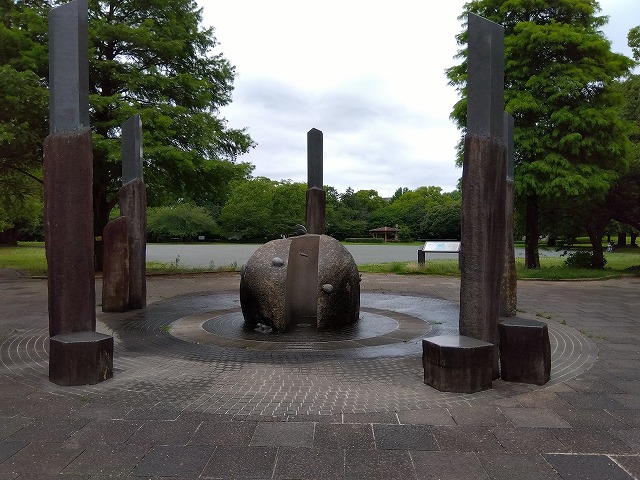 260629