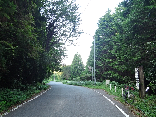 DSCN3987