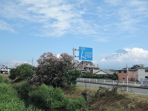 DSCN2811