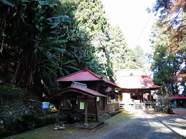 DSCN2489