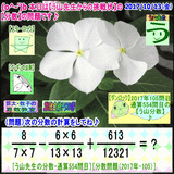 02570a47.gif
