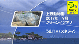 28fecf01.gif