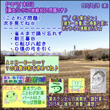 356123c5.gif
