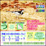 6364c1a6.gif