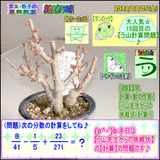 90c4bd96.gif