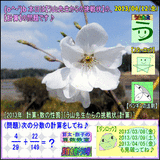 a555b969.gif