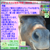 b338cd26.gif
