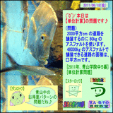 d3e60067.gif