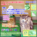 d419c83a.gif