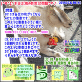 debbaf46.gif