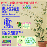 1c956ea2.gif