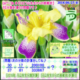 284a0a4a.gif