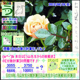 e01bc5e8.gif