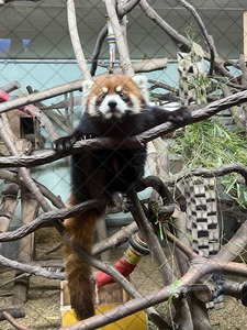 大牟田市動物園