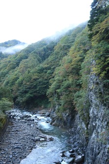 IMG_5717-1