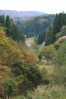 IMG_5902-1