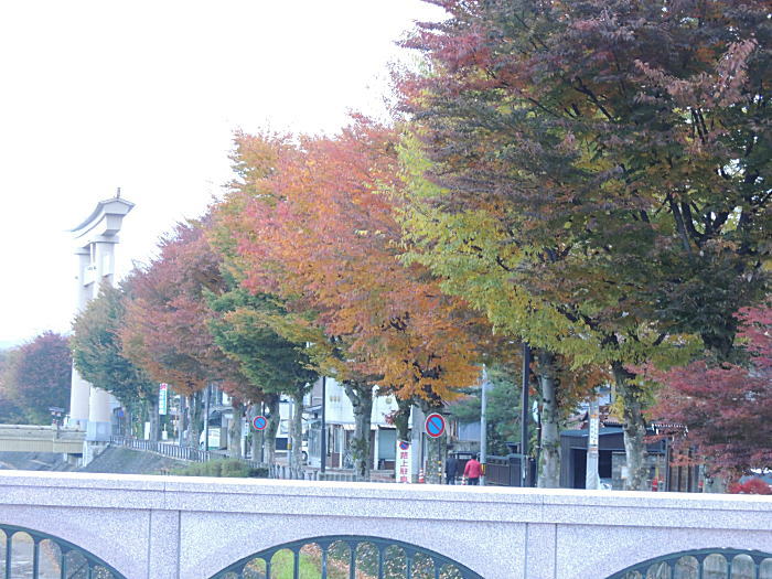 宮川沿いの紅葉
