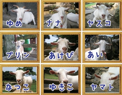 yaginame