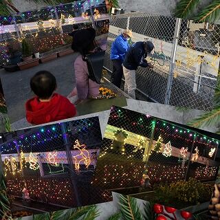 incollage_save (10)