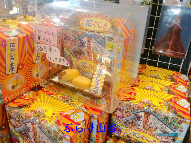 花やしきへ行こう ぶらり山谷 花やしきへ行こう ぶらり山谷