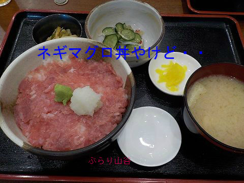 ネギマグロ丼のネギを抜いたら