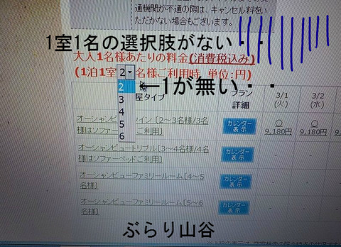 温泉宿1室1名の選択肢がなく予約出来ない