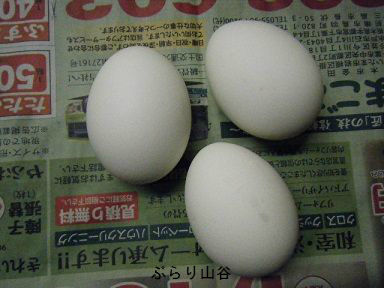 ゆで卵初めて作った