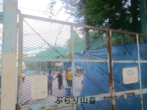 玉姫公園夏祭り