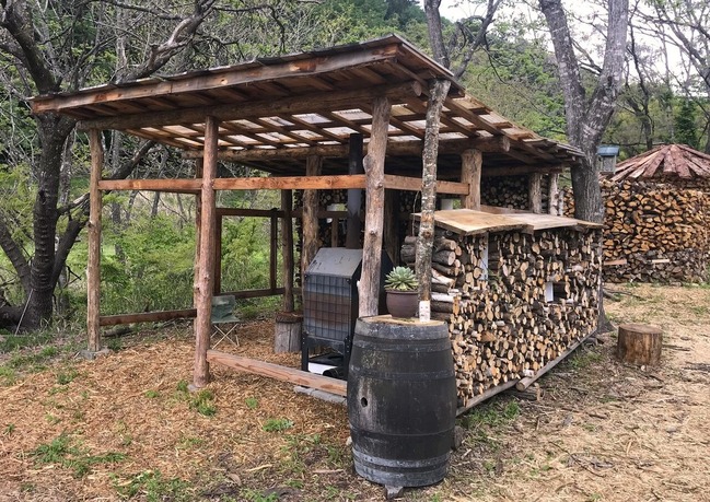 BLOG24