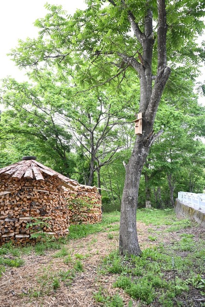 BLOG4
