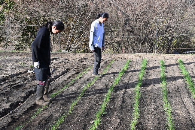 BLOG7