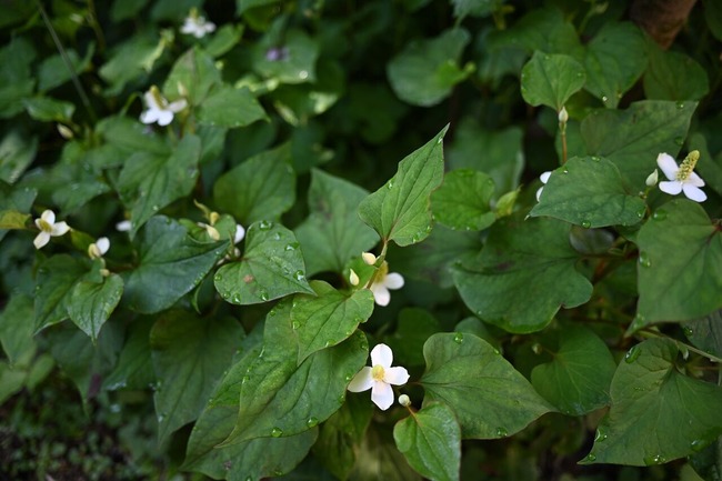 BLOG3