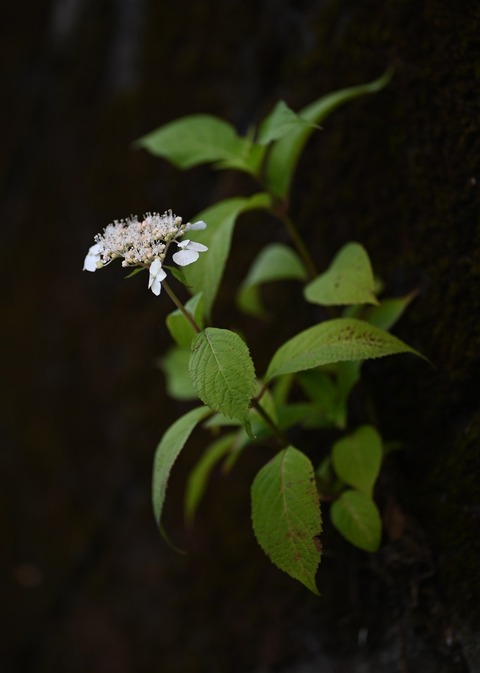 BLOG6