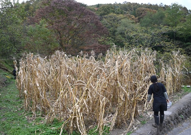 blog18